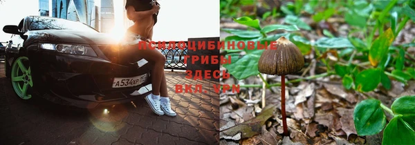 мескалин Арсеньев