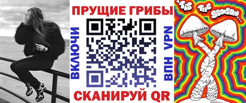 закладки  Петрозаводск  shop состав  Галлюциногенные грибы мицелий 